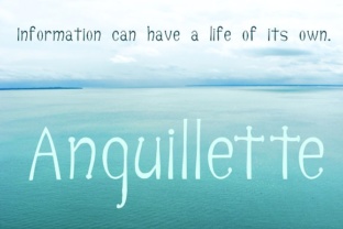Anguillette: A Premium Serif Typeface for Editorial Design