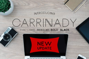 Carrinady: A Modern Sans Serif Typeface for Campaign Design