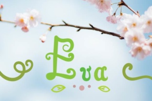 Eva Script: The Perfect Handwritten Font for Your Brand Identity