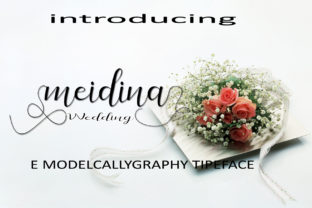 Meidina: A Handwritten Script Font for Editorial Design