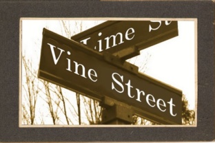 Vine Street: A Vintage Serif Font for Handmade Brands